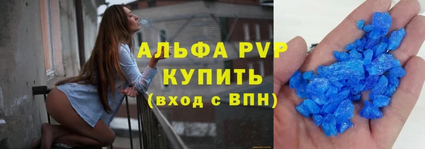 spice Вяземский