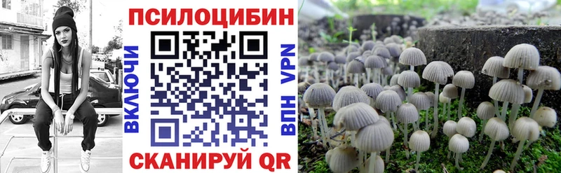 Купить где  Куса  Галлюциногенные грибы Psilocybine cubensis 